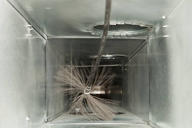 Best Dryer Vent Cleaning Services  in Elsmere, KY